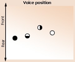 Voice position